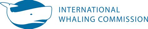 iwc whale|is whaling legal today.